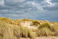 Duinen - Texel
