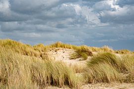 Dünen - Texel von Joop Bruurs