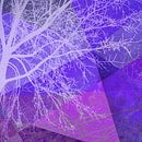 P19-D2 TREES AND TRIANGLES van Pia Schneider thumbnail