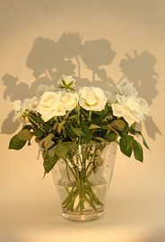 Rosas von Azucena Kouwenhoven