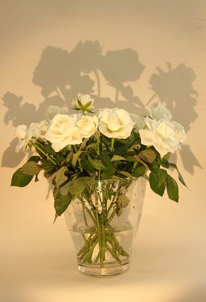 Rosas by Azucena Kouwenhoven