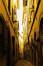 Toscane Gouden Lucca Italië van Hendrik-Jan Kornelis thumbnail