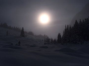 Wintermist in de Rockies van Timon Schneider