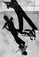 Shadows