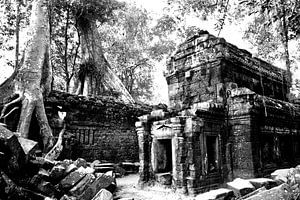 Kambodscha - Angkor, Ta Prohm in monochromen Farben