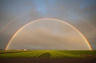 Rainbow above the polders of the Wadden island TexelTexel by Margo Schoote thumbnail