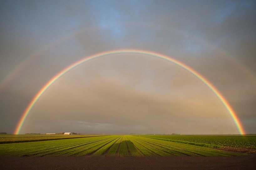 Regenbogen über den Poldern von Wadden Texel von Margo Schoote