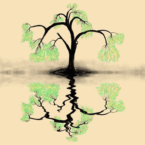 Water weerspiegeling,stilte van de treurwilg