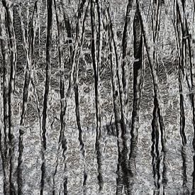 Tanzende Bäume in Schwarz-Weiß von Ina Muntinga