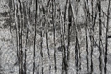 Tanzende Bäume in Schwarz-Weiß