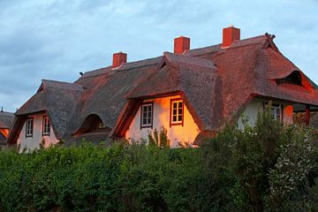 Huis met rieten dak aan de Oostzee van t.ART