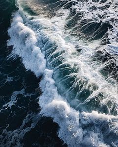 im Meer