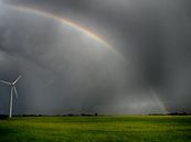 Arc-en-ciel avec herbe verte par Martijn Tilroe Aperçu