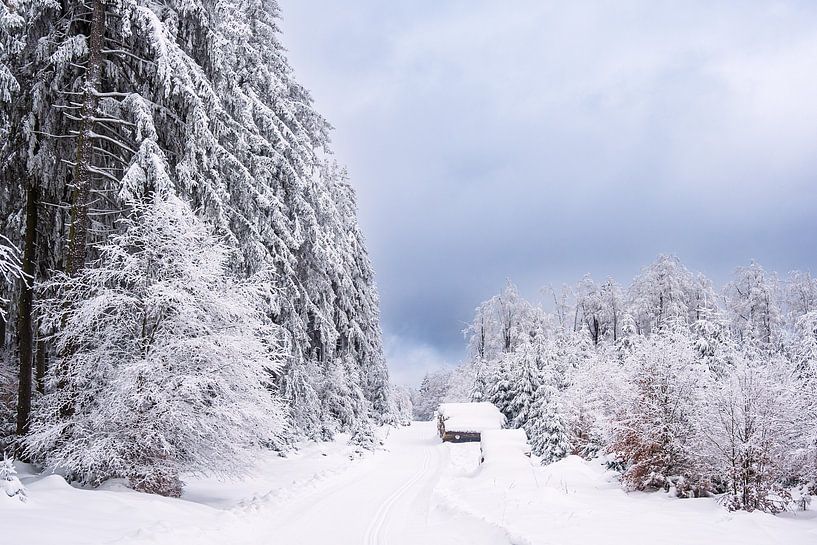 Landschap in de winter in het Thüringer Woud bij Schmied van Rico Ködder