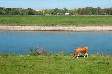 Laag water aan de Ijssel van Richard Wareham