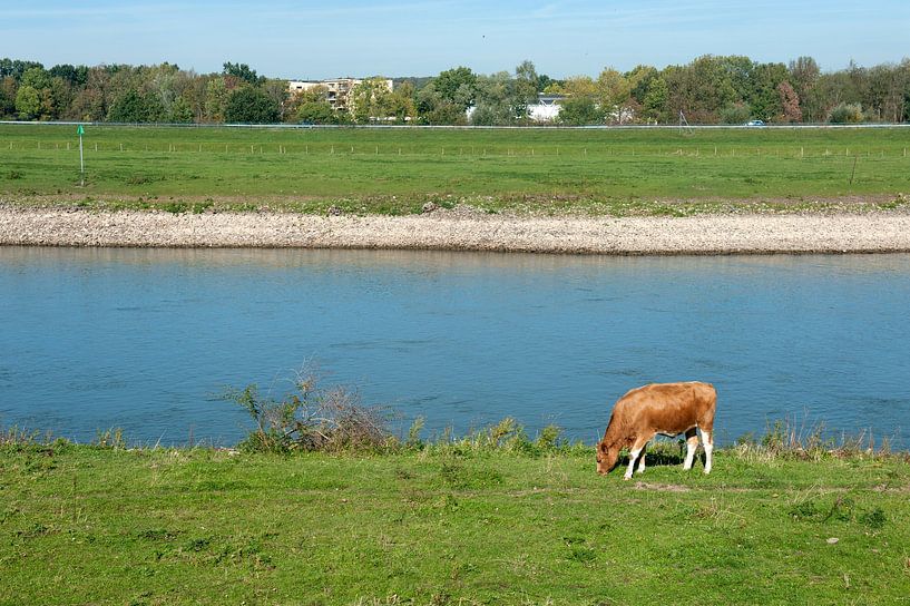 Low water on the Ijssel by Richard Wareham