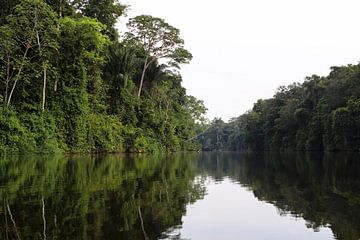 Rivier in het Amazonia regenwoud  van Suriname (1) van rene marcel originals