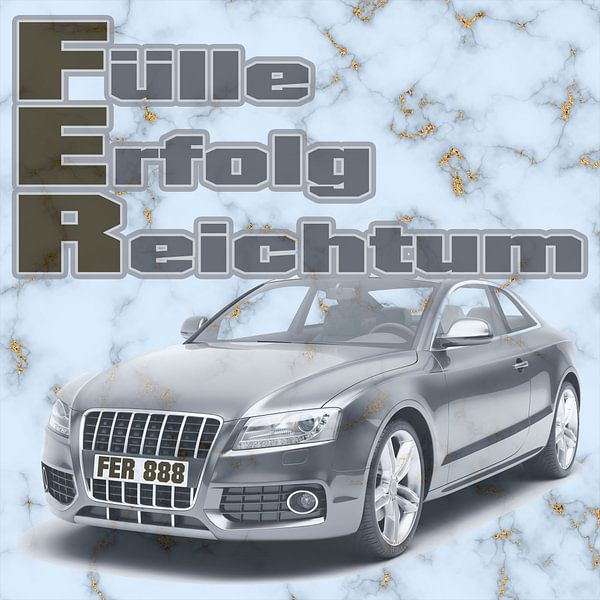 FER - Fülle Erfolg Reichtum von ADLER & Co / Caj Kessler
