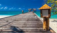 Palm Beach Island Resort auf den Malediven im Lhaviyani Atoll von Thomas Rieger Miniaturansicht