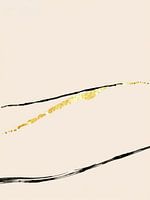Schwarz mit goldenen Linien