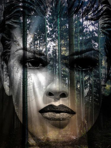 Op een zonnige herfstochtend