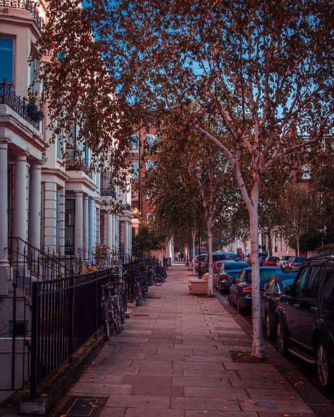 London von Hello Pompoyo