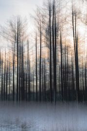 Planken Wambuis Teil 136 von Tania Perneel