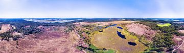 Flowering heath De Hamert, Maasduinen, in 360° from the air by Paul Oostveen