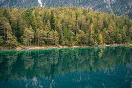 Autumnal trees with lake reflection by Leo Schindzielorz