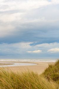 Sluftertal am Strand der Insel Texel im niederländischen Wattenmeer