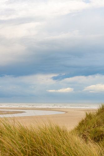 Vallée de Slufter sur la plage de l'île de Texel dans les Wadden néerlandaises