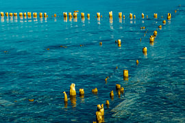 Palen in het water