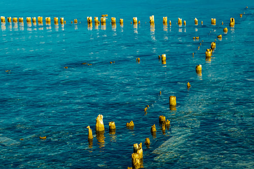 Poles in the water
