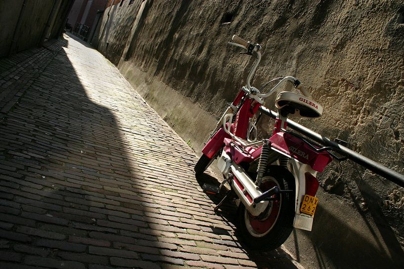 Rose Moped in der Sonne von Herman Peters