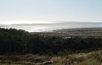 Duingebied West-Terschelling