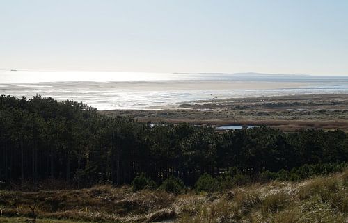 Zone dunaire de West-Terschelling