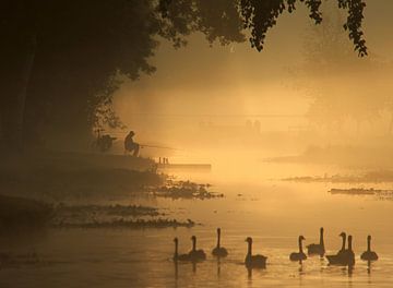 visser in de mist van Annemieke van der Wiel