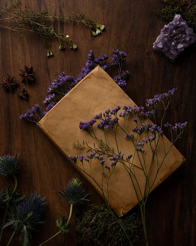 Lieu de travail botanique