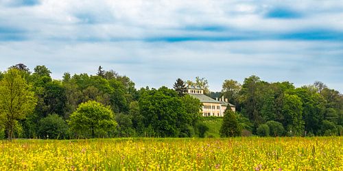 Prairie printanière dans la romantique vallée de l'Aube