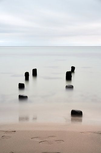 Wayfinding wooden piles by Marianne Kiefer PHOTOGRAPHY