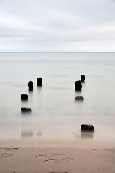 Des poteaux en bois qui montrent la voie par Marianne Kiefer PHOTOGRAPHY