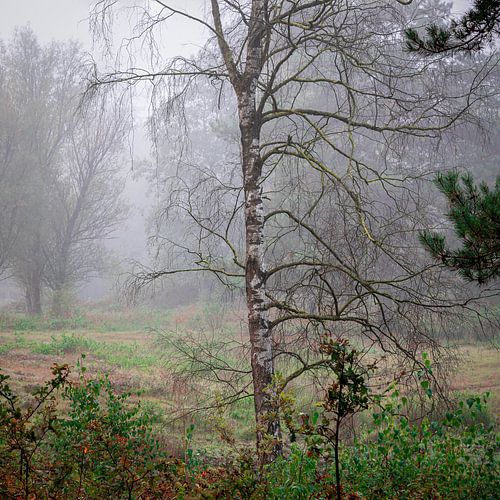 zilverberk op een mistige vroege morgen