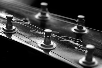 Gibson Les Paul - Version monochrome sur Rolf Schnepp