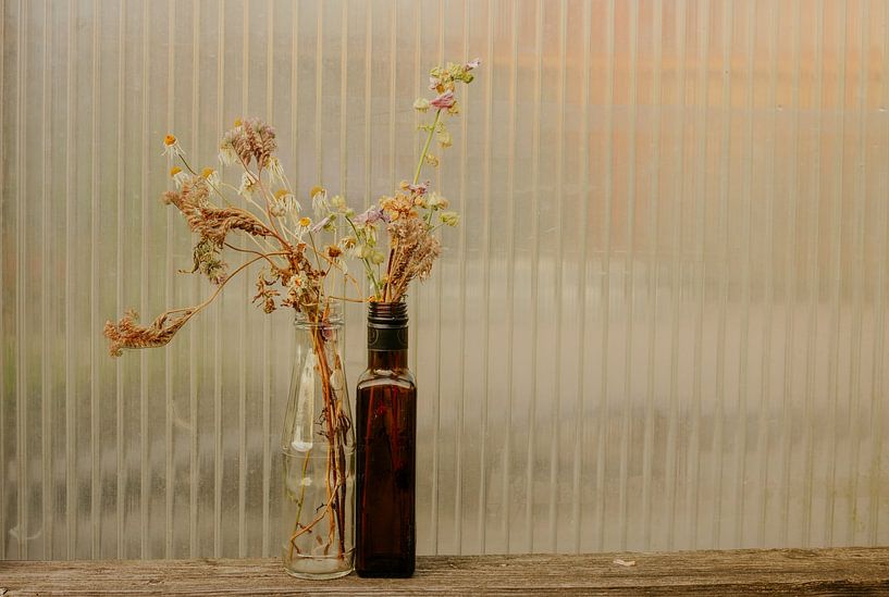 Fleurs sauvages séchées | nature morte minimaliste au verre cannelé par Brave Toaster Photos