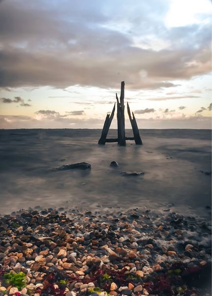 Eagle Head. by PEEQ.