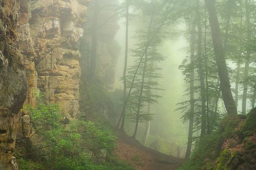 Mooie mistige ochtend in de Teufelschlucht in de Eifel, Duitsland