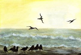 Seagulls before the sunset by Sandra Steinke