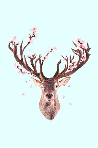 Cerf en fleurs de cerisier par Jonas Loose