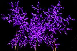 Barcelona by Fred Repko