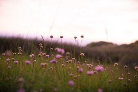 Purple Flowers by Arthur de Rijke
